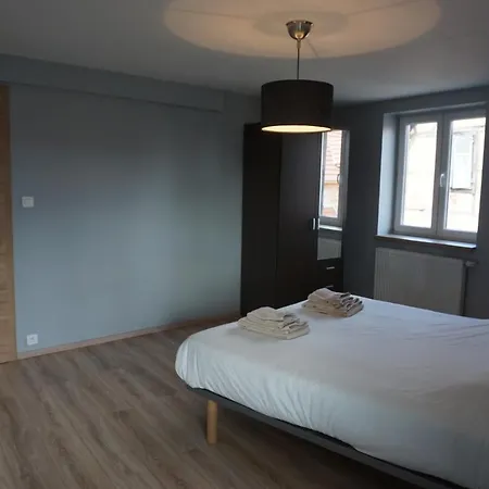 L'aubach - Spacieux - Au Pied Du Vignoble - Parking Gratuit Apartment *